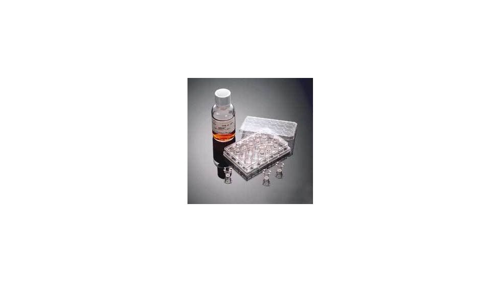 BD BioCoat Matrigel Invasion Chambers, BD Biosciences 354480 Bd Matrigel Invasion Chambers