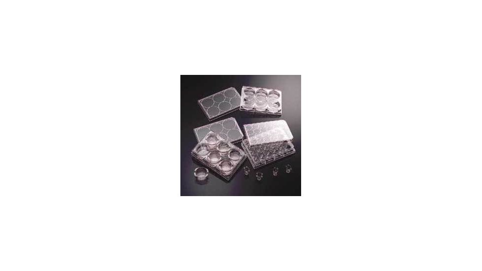 BD BioCoat Variety Pack Inserts and Multiwell Plates, BD Biosciences 354656 Cultureslides