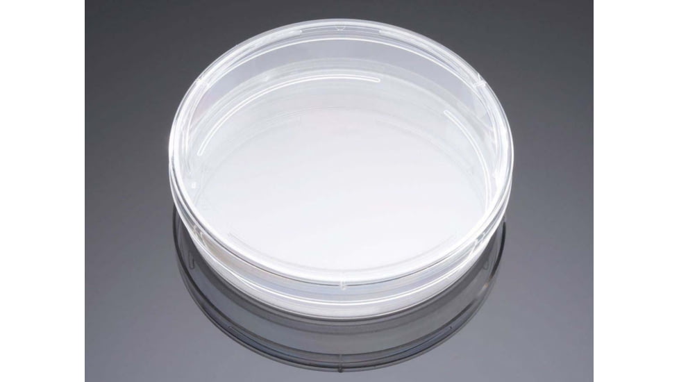 BD Dish Amine 100mm Cs40 356732, Unit CS