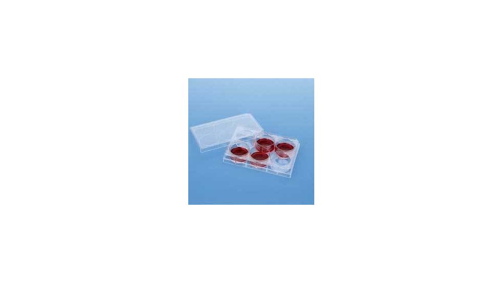 BD Falcon Cell Culture Companion Plates for Inserts, Sterile, BD Biosciences 353502