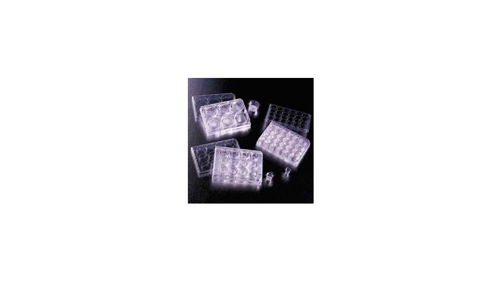 BD Falcon Cell Culture Inserts, Sterile, BD Biosciences 353096 Transparent Inserts