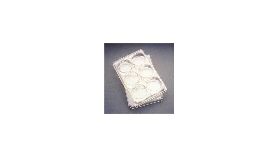 BD Falcon Multiwell Flat-Bottom Plates with Lids, Sterile, BD Biosciences 353230