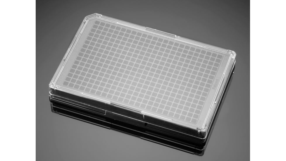 BD Plate Coll I 384W BLK/CLR CS80 356705