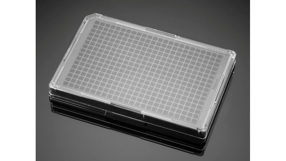 BD Plate Pdl 384W BLK/CLR CS50 356663