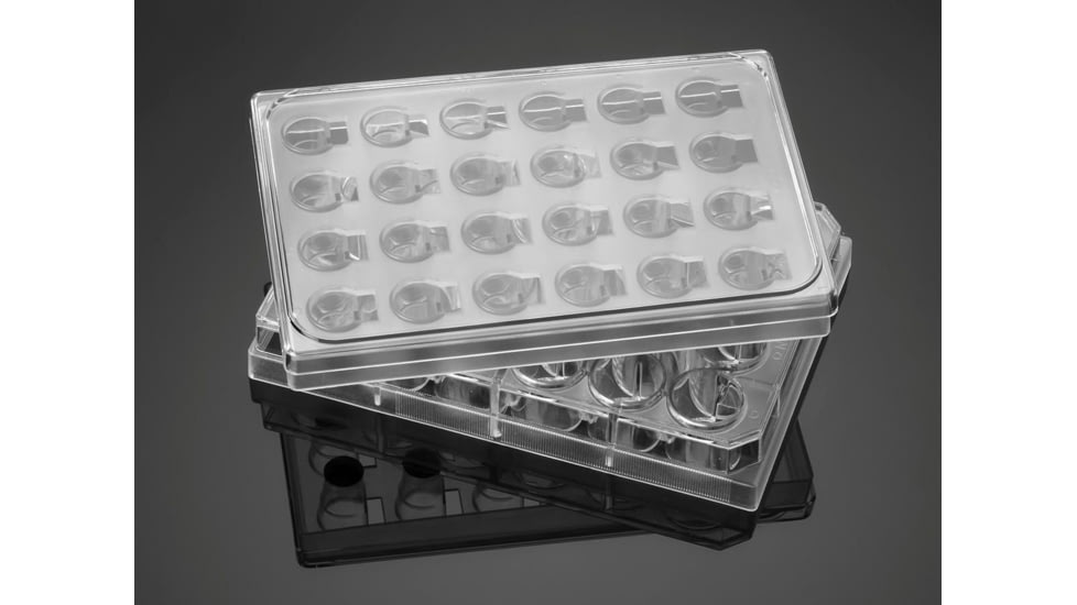 BD System Tumor Invasion 24WL PK5 354166