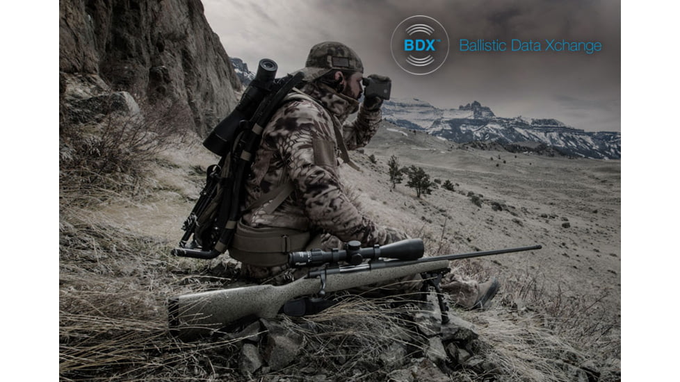 Sig Sauer BDX System