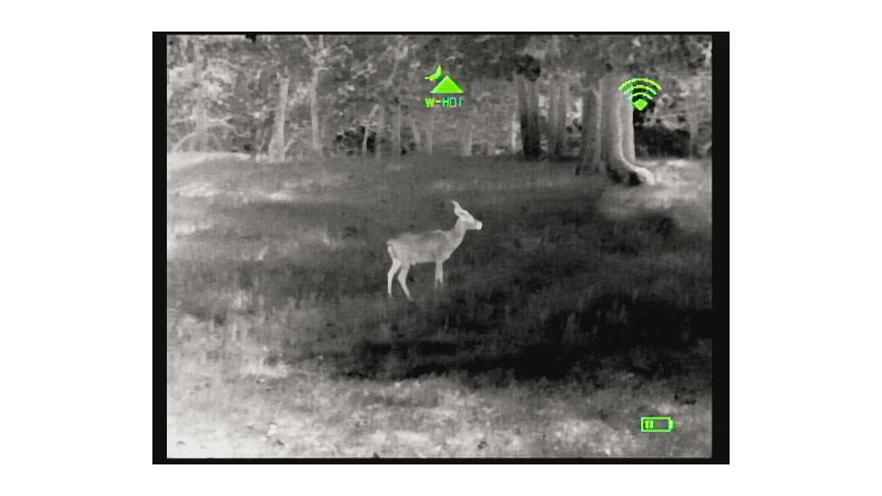 Bering Optics Prodigy 348 1.0x25 Thermal Monocular W/2x-4x Digital Zoom and Wi-Fi , 348x256, Black, BE43125