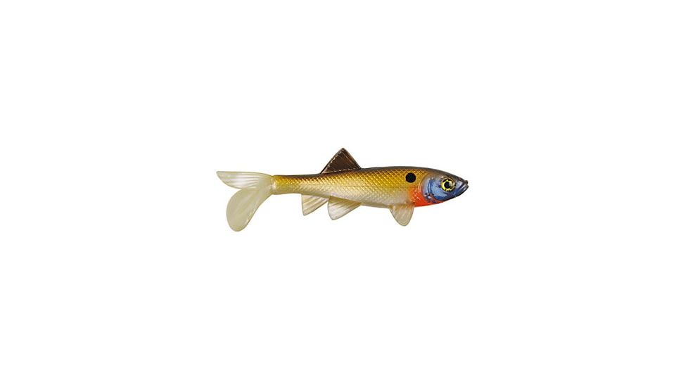Berkley Havoc Sick Fish Bait, 3in., Tennessee Shad 178382
