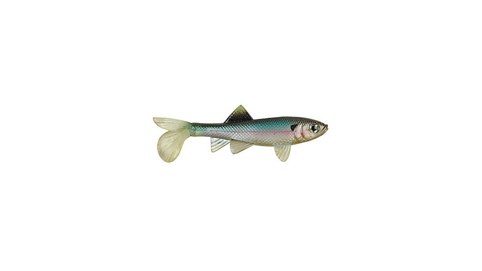 Berkley Havoc Sick Fish Bait, 5.5in., Ghost Minnow 178386