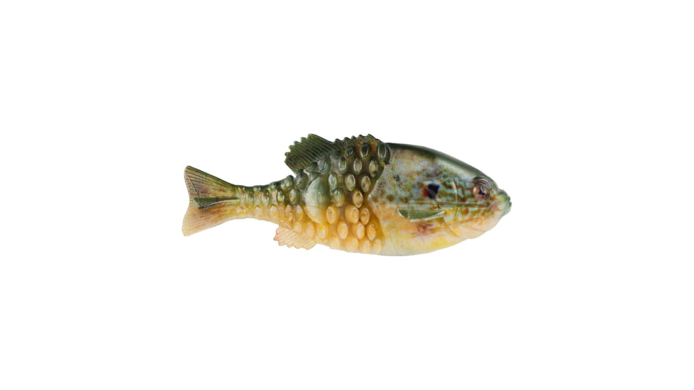 Berkley PowerBait Gilly Soft Bait, HD Pumpkinseed, 130, 1546077
