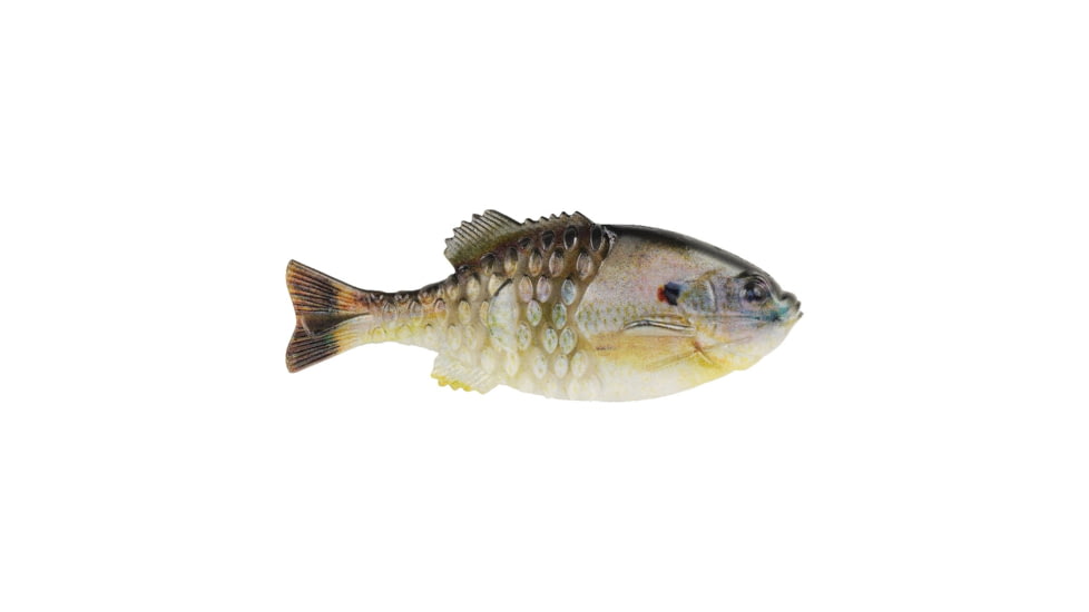 Berkley PowerBait Gilly Soft Bait, HD Sunfish, 110, 1546063