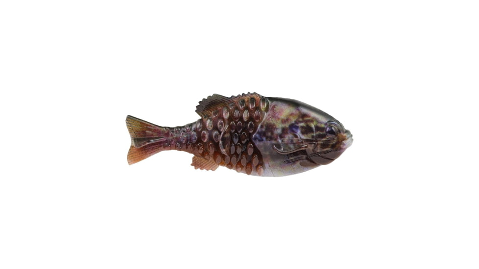 Berkley PowerBait Gilly Soft Bait, HD Warmouth, 110, 1546066