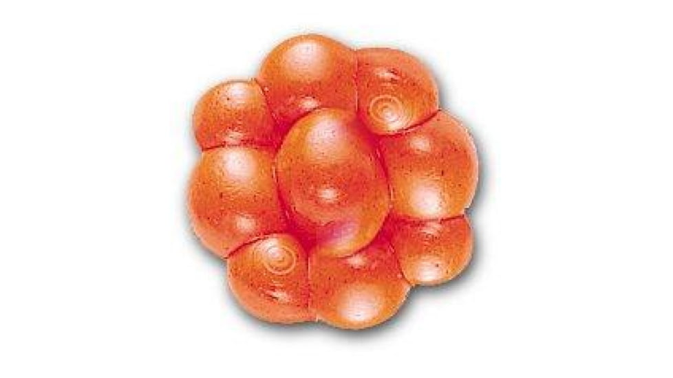 Berkley PowerBait Trout/Steelhead Egg Clusters Soft Bait, Fluorescent Orange, 1307612