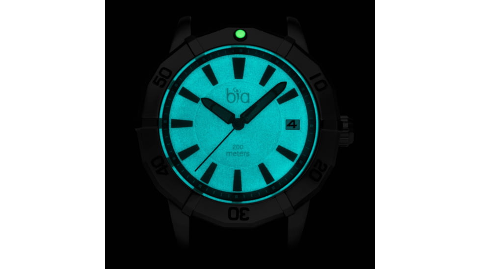 Bia Rosie Dive Watches, Black Dil Black Strap, Steel, One Size, B2002