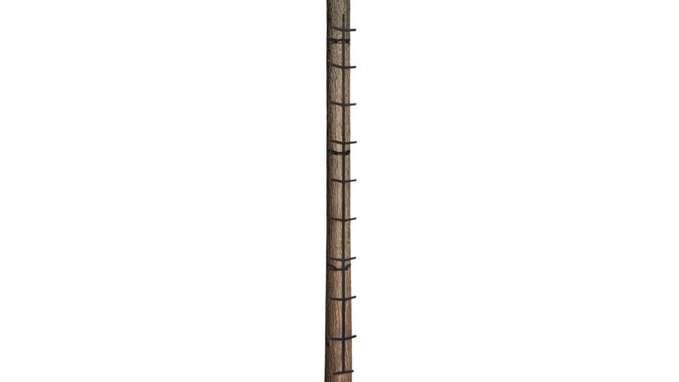 Big Dog Hot Foot Climbing Stick, 24 ft. BDSL-24
