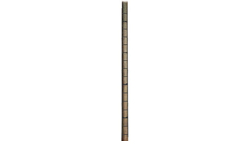 Big Dog Hunting Mini Ladder, 20ft, BDML-200