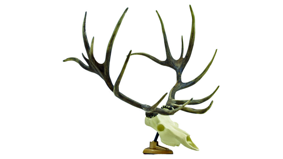 Big Rack Figurine, Elk Raxx VFG1007