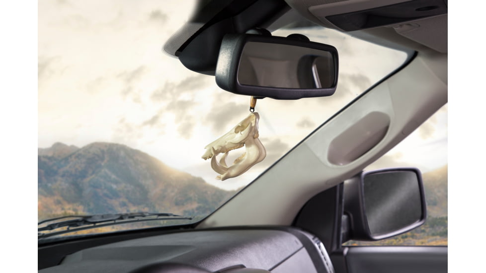 Big Rack Figurine, Shedz, Wild Boar Skull, Bigrack VFG1031