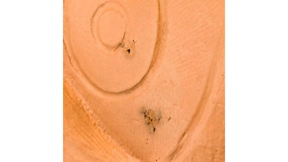 Bigshot Big Shot Targets Pro Hunter Racoon &amp; Groundhog Combo Pack