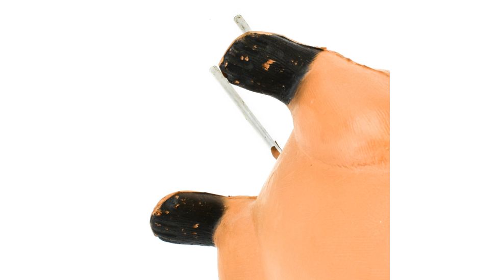 Bigshot Big Shot Targets Pro Hunter Racoon &amp; Groundhog Combo Pack