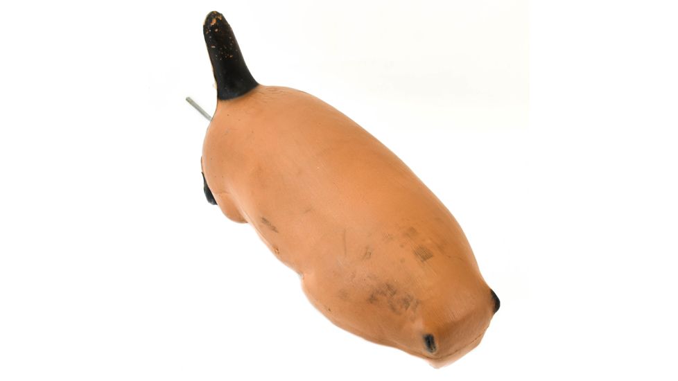 Bigshot Big Shot Targets Pro Hunter Racoon &amp; Groundhog Combo Pack