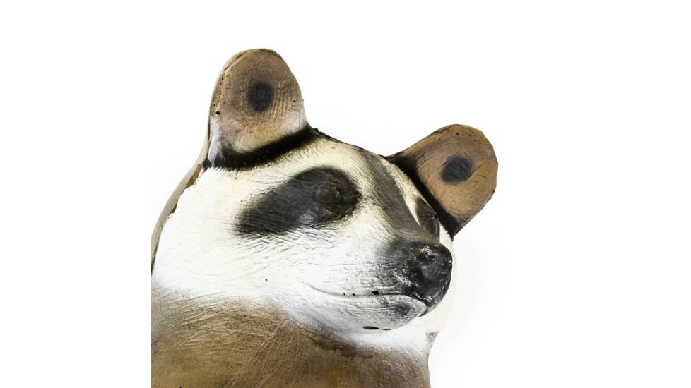 Bigshot Big Shot Targets Pro Hunter Racoon &amp; Groundhog Combo Pack