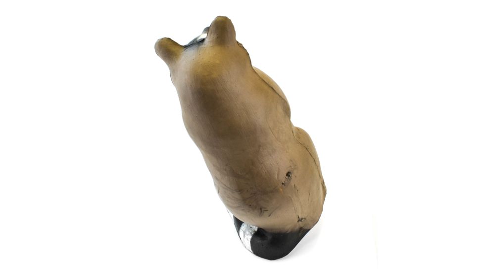 Bigshot Big Shot Targets Pro Hunter Racoon &amp; Groundhog Combo Pack