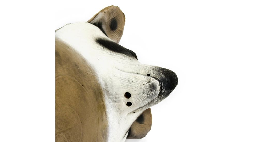 Bigshot Big Shot Targets Pro Hunter Racoon &amp; Groundhog Combo Pack