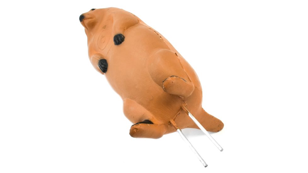 Bigshot Big Shot Targets Pro Hunter Racoon &amp; Groundhog Combo Pack