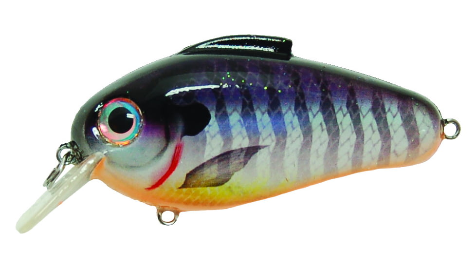 Bill Lewis Echo 1.75 Crankbait, Floating, Blueberry Perch, 3in, 5/8oz, EC255