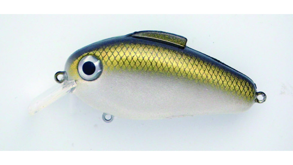Bill Lewis Echo 1.75 Crankbait, Floating, Gold Rush, 3in, 5/8oz, EC596