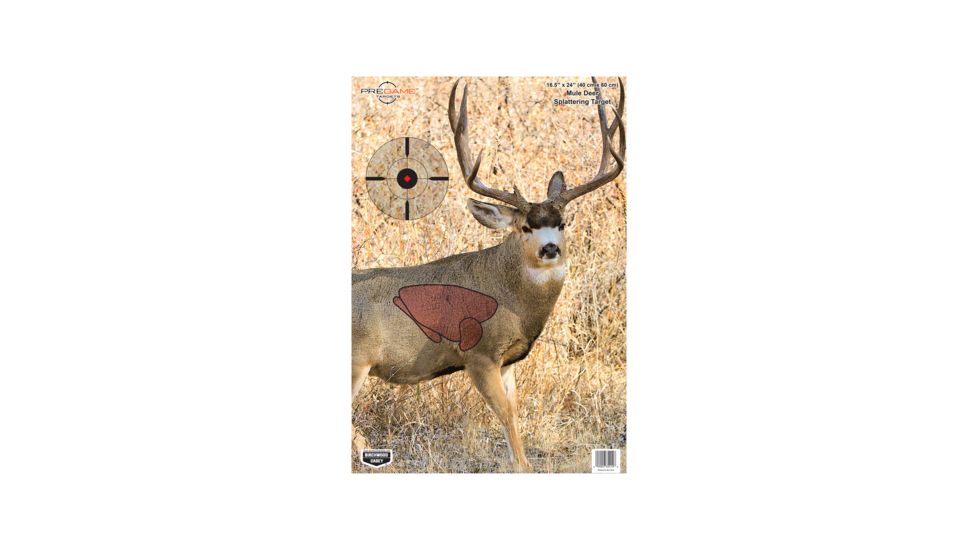 Birchwood Casey Pregame Targets, BC-35402