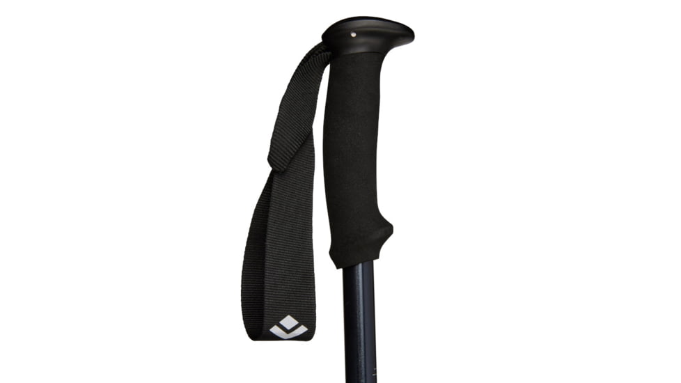 Black Diamond Explorer 2 Trekking Poles, Ink Blue, BD1125504014ALL1