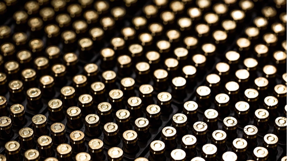 Blackwater Ammunition Defense Grade 9mm 9mm 115 Grain Jacketed Hollow Point Brass Cased Centerfire Pistol Ammo, 20 Round, BWA-5007