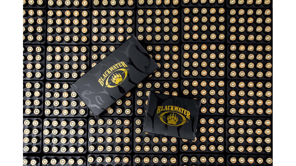 Blackwater Ammunition Defense Grade 9mm 9mm 115 Grain Jacketed Hollow Point Brass Cased Centerfire Pistol Ammo, 20 Round, BWA-5007