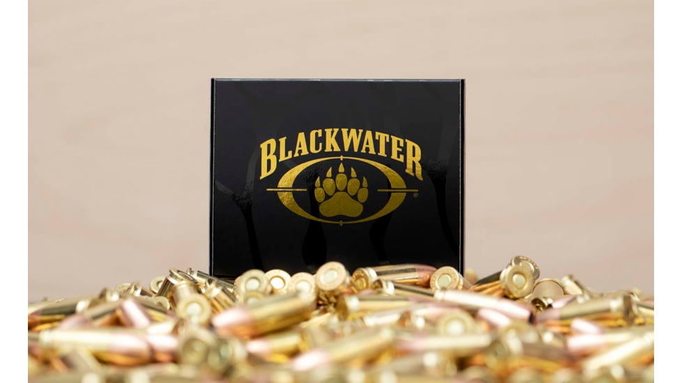 Blackwater Ammunition Defense Grade 9mm 9mm 115 Grain Jacketed Hollow Point Brass Cased Centerfire Pistol Ammo, 20 Round, BWA-5007