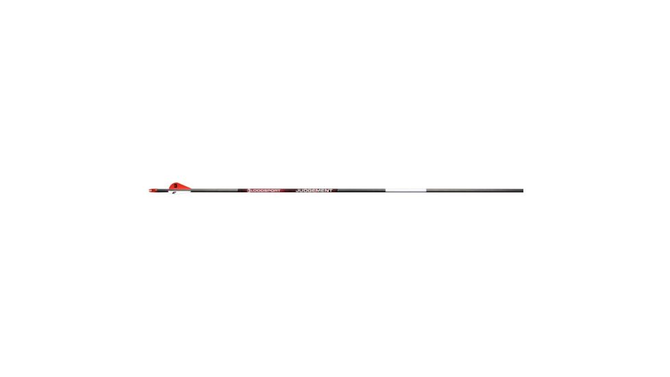 BloodSport Judgement Arrows, 500 2 in. Vane 6 pk. PSB150106