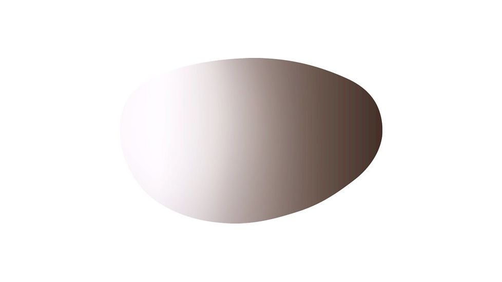 Bolle Vortex Photo Clear Gray Lens 50272