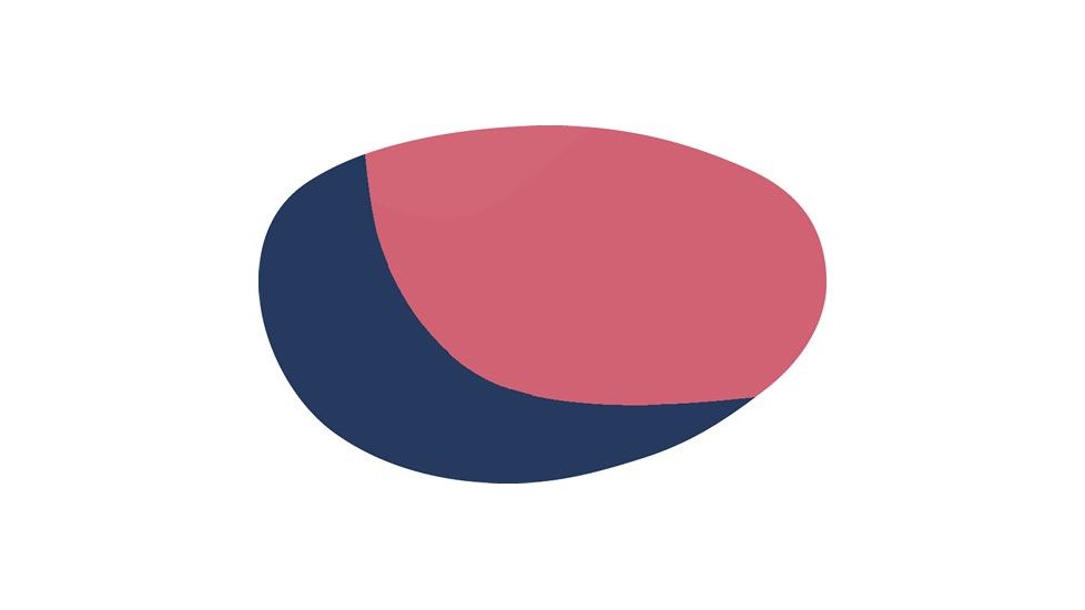 Bolle Vortex Rose Blue Lens 50274