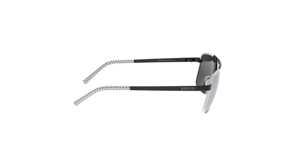 Breed Sunglasses Draco Sunglasses, Black / Silver BSG047BK