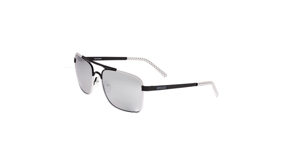 Breed Sunglasses Draco Sunglasses, Black / Silver BSG047BK