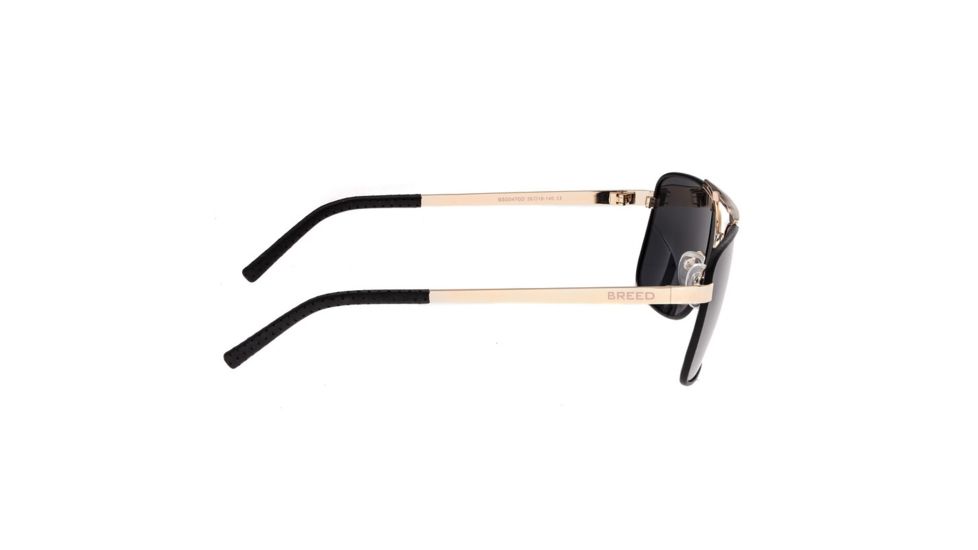 Breed Sunglasses Draco Sunglasses, Gold / Black BSG047GD