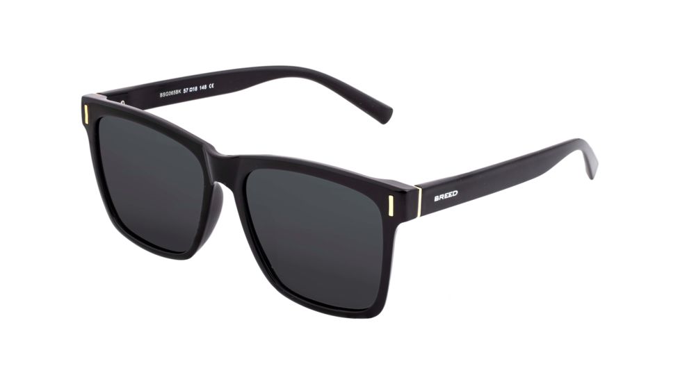 Breed Sunglasses Pictor Polarized Sunglasses - Men's, Black/Black, One Size, BSG065BK