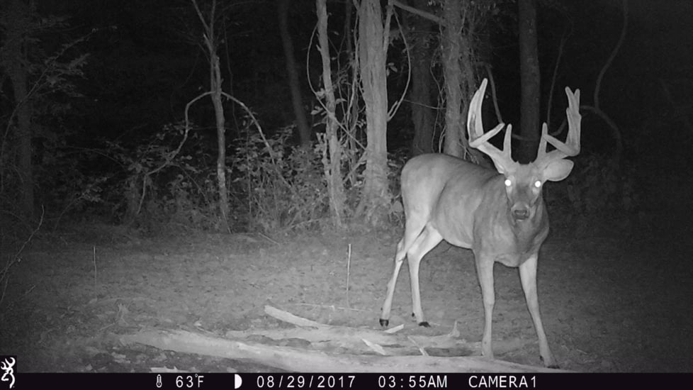 Browning Trail Cameras 24 MP Strike Force Pro Xd Dual Lens Full HD Trail Camera, CAMO, BTC-5PXD