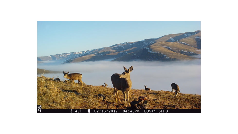 Browning Trail Cameras Strike Force Pro-X 1080 Trail Camera, BTC 5PX-1080