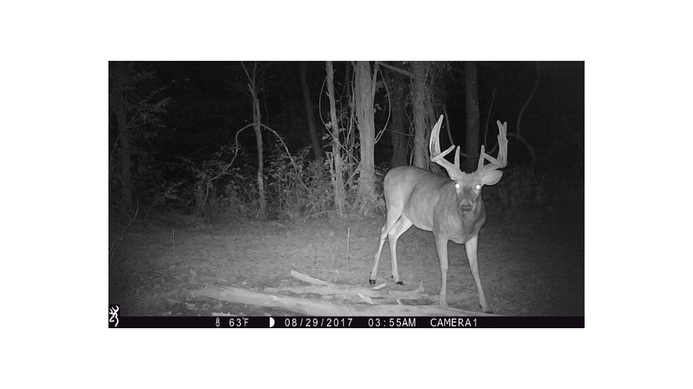 Browning Trail Cameras Strike Force Pro-X 1080 Trail Camera, BTC 5PX-1080