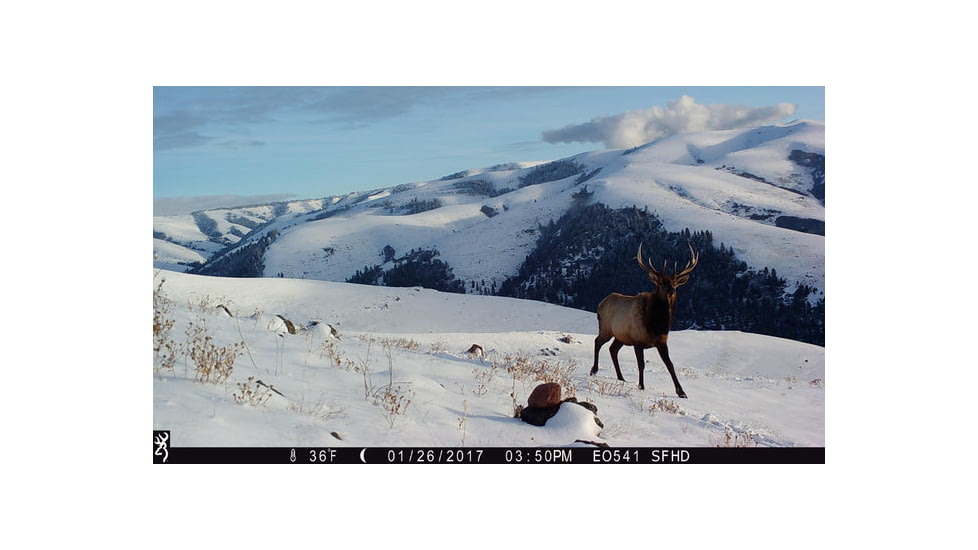 Browning Trail Cameras Strike Force Pro-X 1080 Trail Camera, BTC 5PX-1080