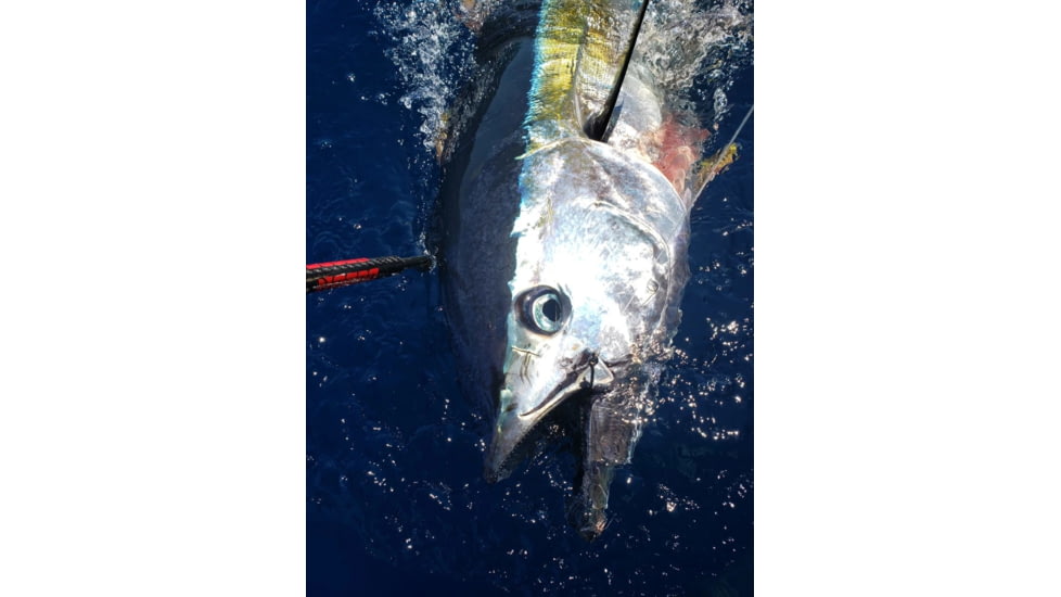 Bubba Blade Carbon Fiber Fishing Gaff, 3in Hook, 7in Handle, 1099742