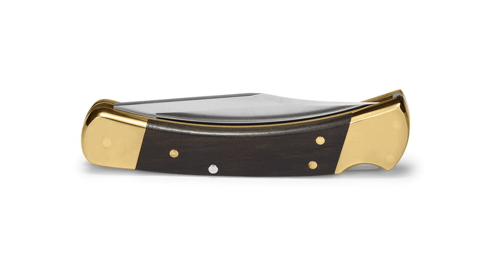 Buck Knives Auto Folding Knife, 3 3/4in 420HC Stainless Steel Blade, Ebony/Brass, 0110BRSA
