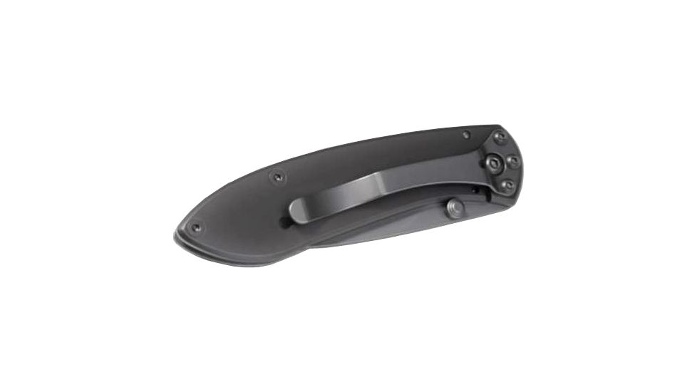 Buck Knives Nobleman Titanium Coated Folding Knife, 2.63 in, Titanium, Drop Point, Titanium, Titanium Handle, 0327TTSB/5860